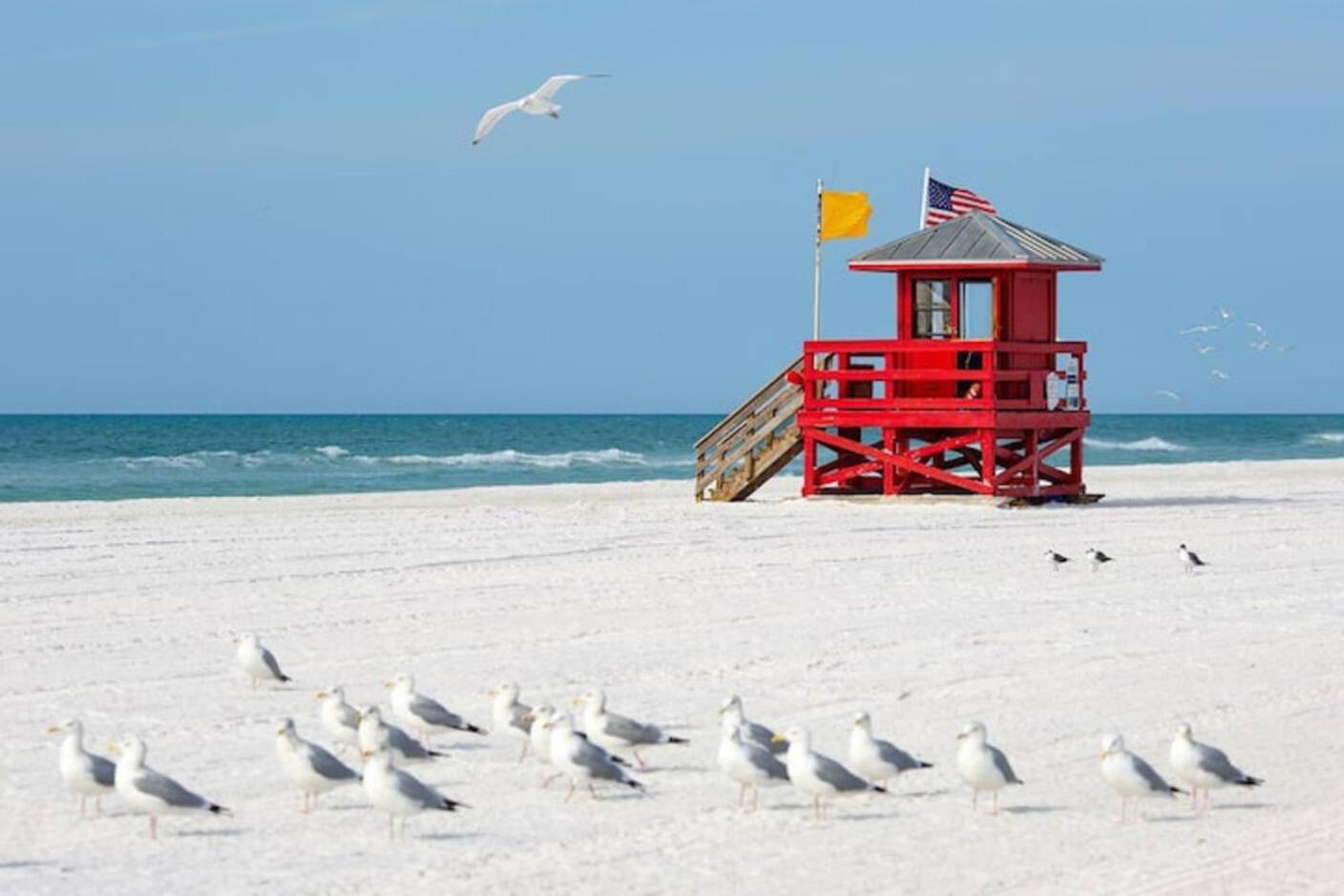 Luxury Zen Den With Heated Pool Just Off Siesta Key Apartman Sarasota megye Kültér fotó